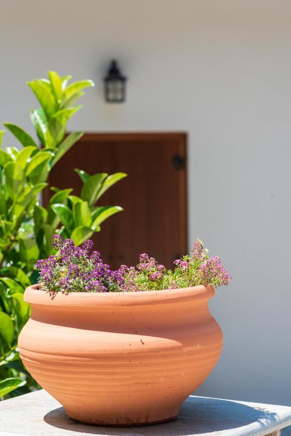 Άλυσσος Suites Tsagarada Exteriör bild