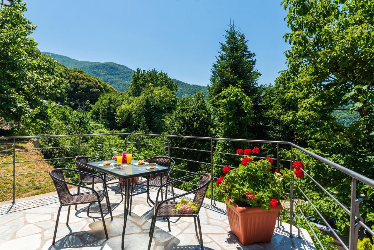 Άλυσσος Suites Tsagarada Exteriör bild
